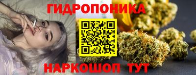 a pvp Дубна