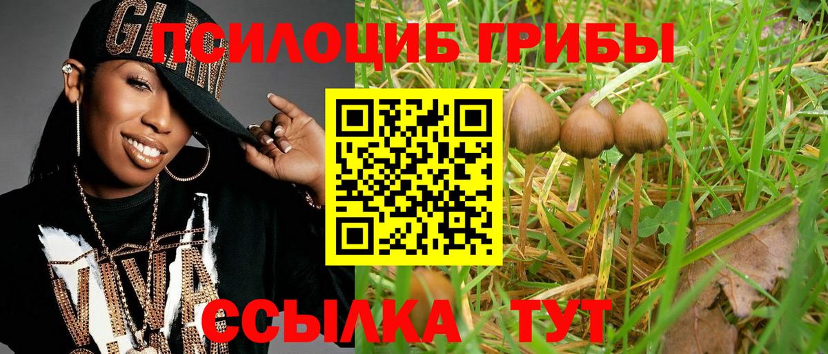 Псилоцибиновые грибы мухоморы Мирный