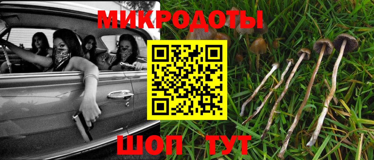 Псилоцибиновые грибы MAGIC MUSHROOMS  Вход с VPN  Мирный 